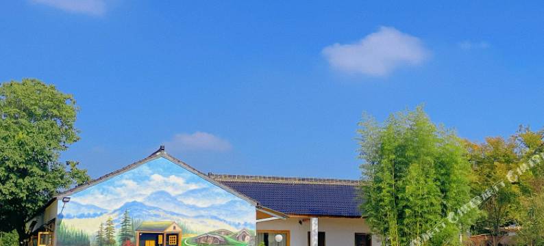 南京高淳半亩绵甜芮兰小院图片