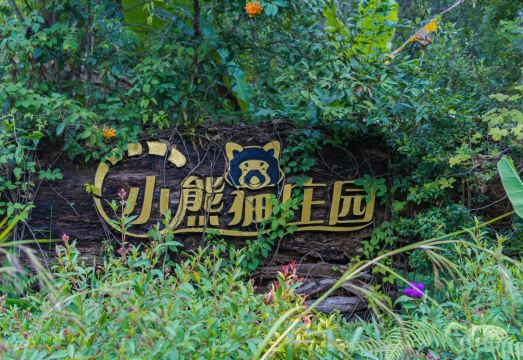 Red Panda Manor Pu’re Hotel Overview