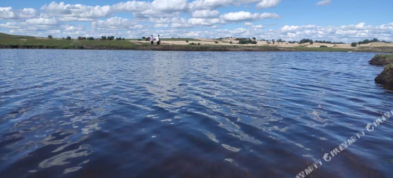 富贵树农家院图片