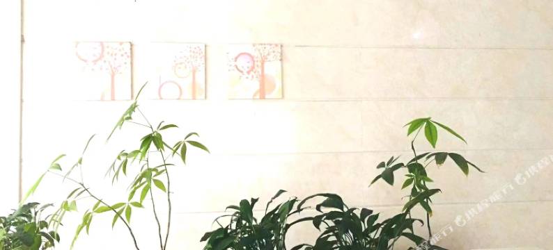 月月自助公寓(南宁五象新区广西国际壮医医院店)图片