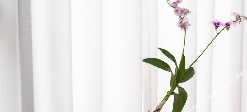 景舍民宿(阳朔西街店)图片