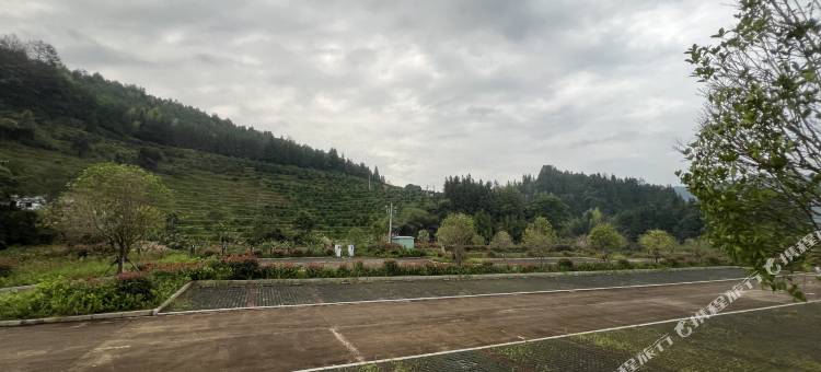 上堡梯田假日民宿图片