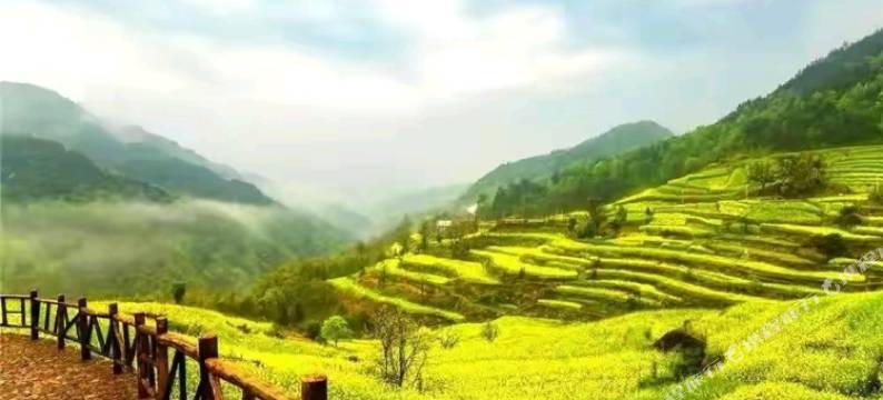 素朴·汀泉民宿(婺源篁岭店)图片