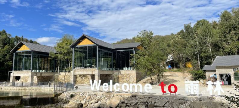 滇缅国际雨林自驾营地图片