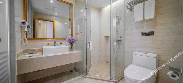 维也纳国际酒店(中山小榄菊城广场店)图片