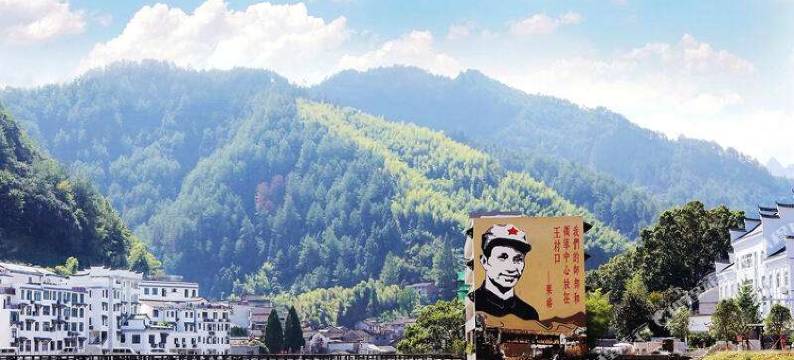 遂昌美宿酒店图片