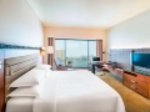 豪華河景房