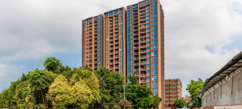 柏丽甜果公寓(广州番禺市桥店)图片