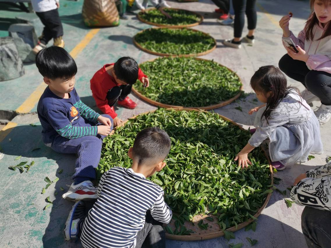 茶之韵·茶文化主题美宿(南靖土楼店)图片