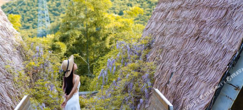 草塗·温泉建筑美宿(莫干山店)图片