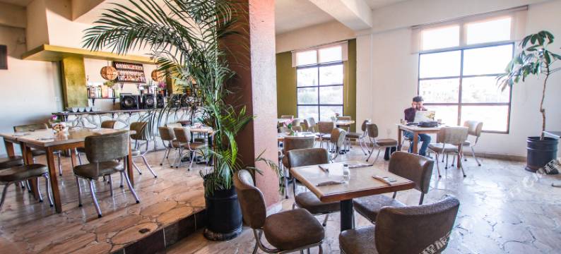 瓜纳华托1988酒店(Hotel 1988 Guanajuato)图片