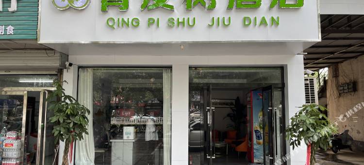 青皮树酒店(濮阳京开大道汽车站店)图片