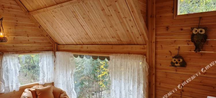 遂昌望辰民宿图片