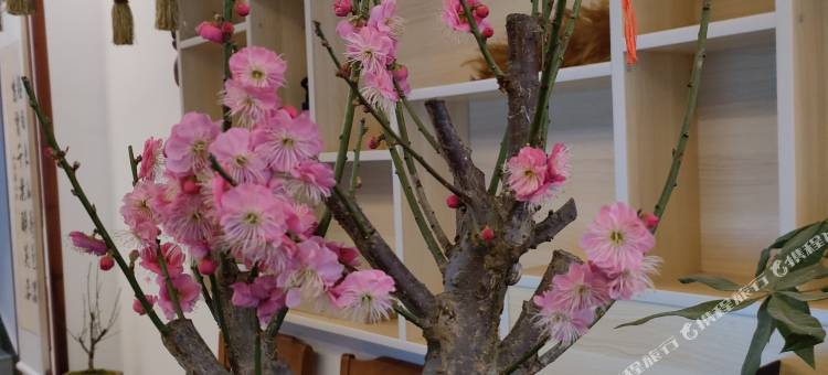 芙蓉小筑民宿(芙蓉镇店)图片