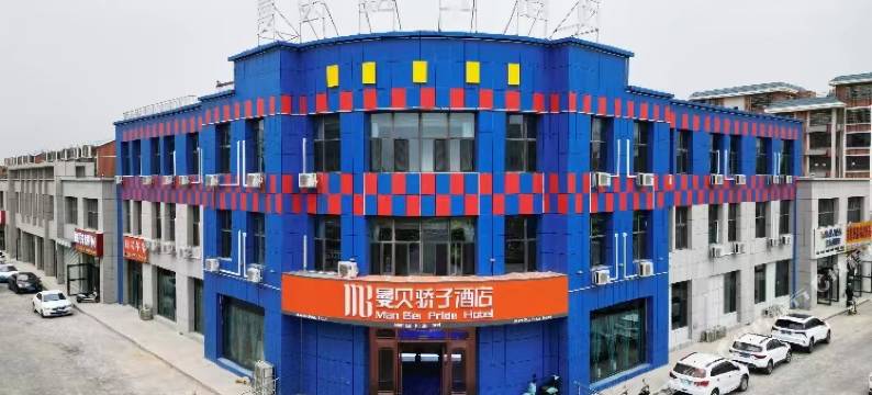 平罗曼贝骄子酒店图片
