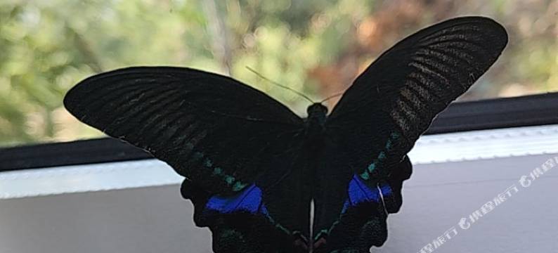 化屋纵情山水精品湖景民宿图片