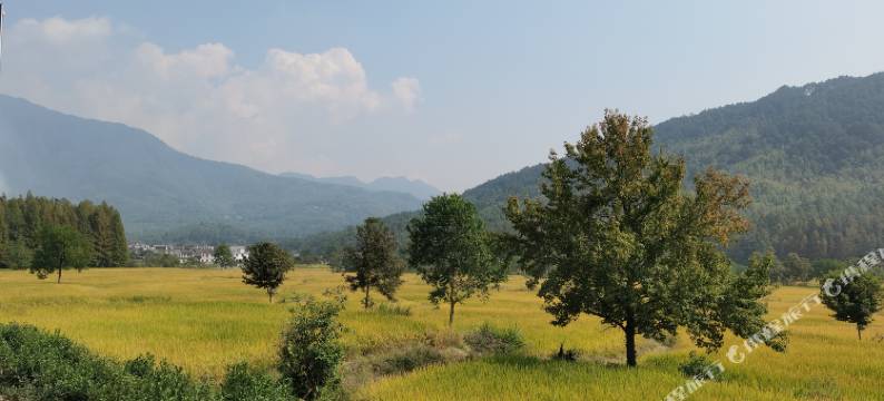 一竹山居民宿(西递旅游风景区店)图片