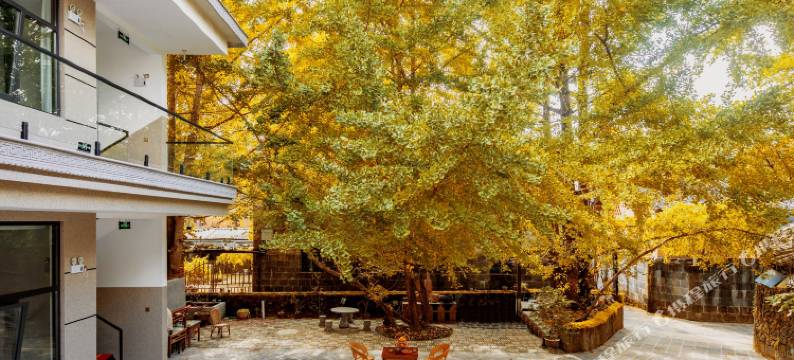 腾冲诗意栖居温泉精品民宿(银杏村店)图片