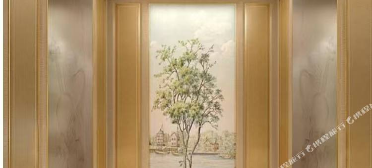 维也纳酒店(那曲班戈317国道店)图片