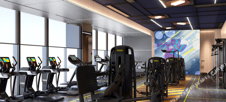 上海虹桥雅乐轩酒店图片