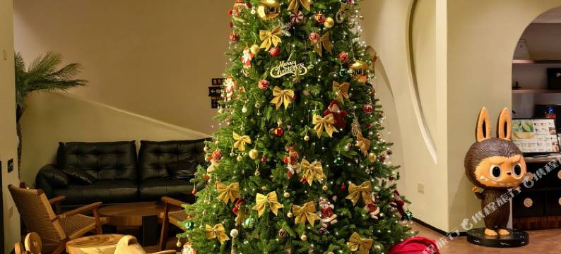 宝瑰Begrace·童梦(番禺万博中心长隆店)图片