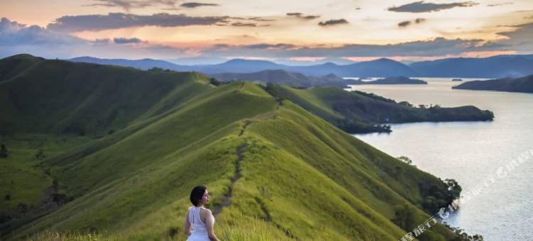 瑞士贝尔帕普亚酒店(Swiss-Belhotel Papua)图片