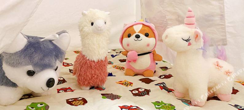 素可泰民宿(石花西路店)图片