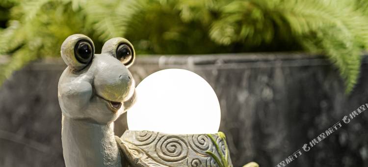 漫龟酒店(攀枝花公园店)图片