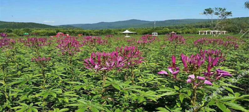 烟台福和园旅馆图片