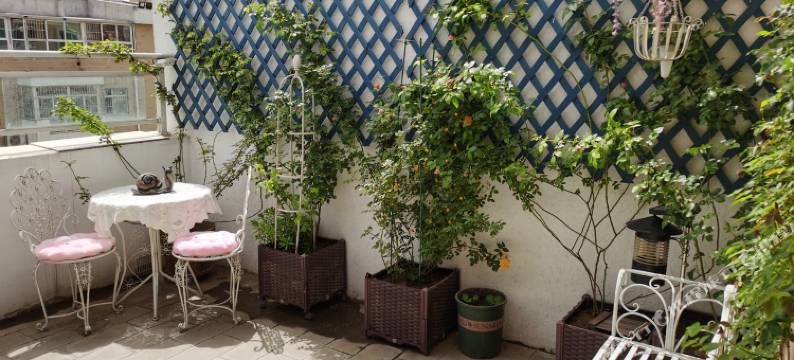 房东小彤彤公寓(车站北街分店)图片