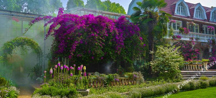 三棵树庄园图片