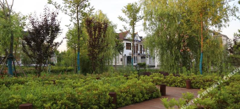 田园小院民宿图片