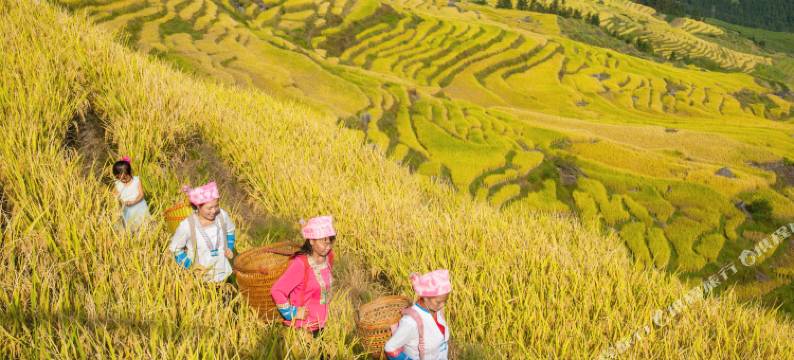 龙脊梯田欣运酒店图片