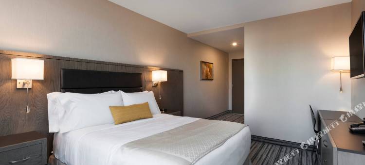 拉瓜迪亚南温德姆酒店(Wyndham Garden LaGuardia South)图片