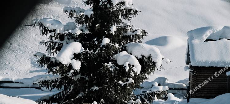 携程度假农庄(新疆禾木西融联营店)图片