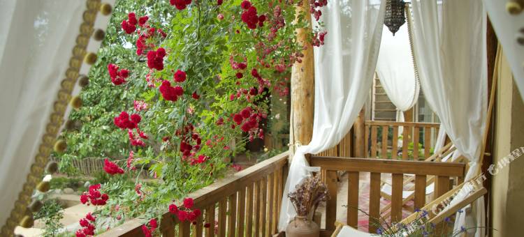 霍城见树民宿(晃晃村店)图片