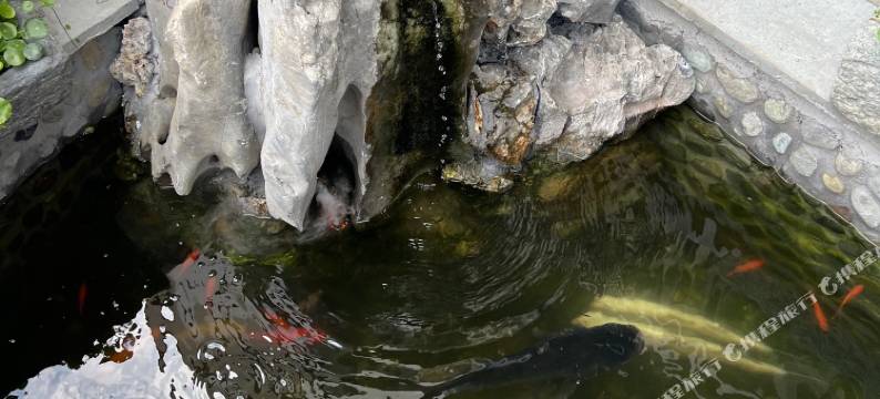 歙县雲水间民宿(新安江山水画廊风景区店)图片