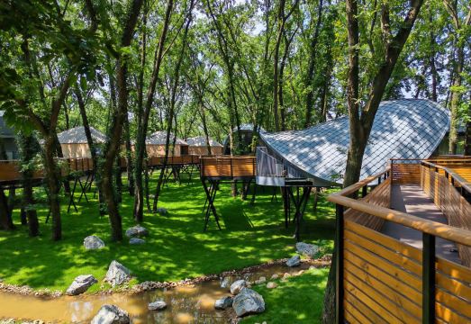 万山绿乐园童廿树屋