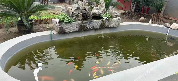 巨烨民宿图片