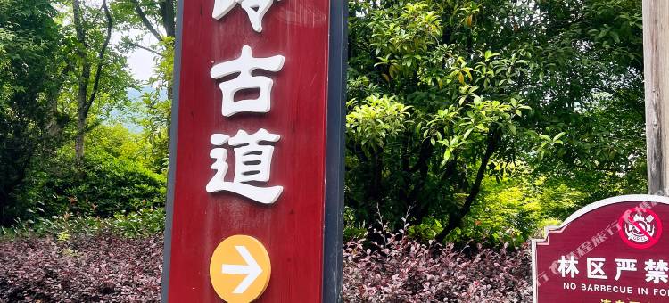 桐庐倚兔西秋·family精品美宿  & 马岭古道店图片