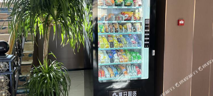 宁城山茶花酒店图片