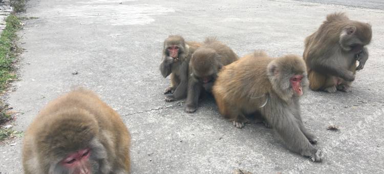 黑水山里人家客栈图片