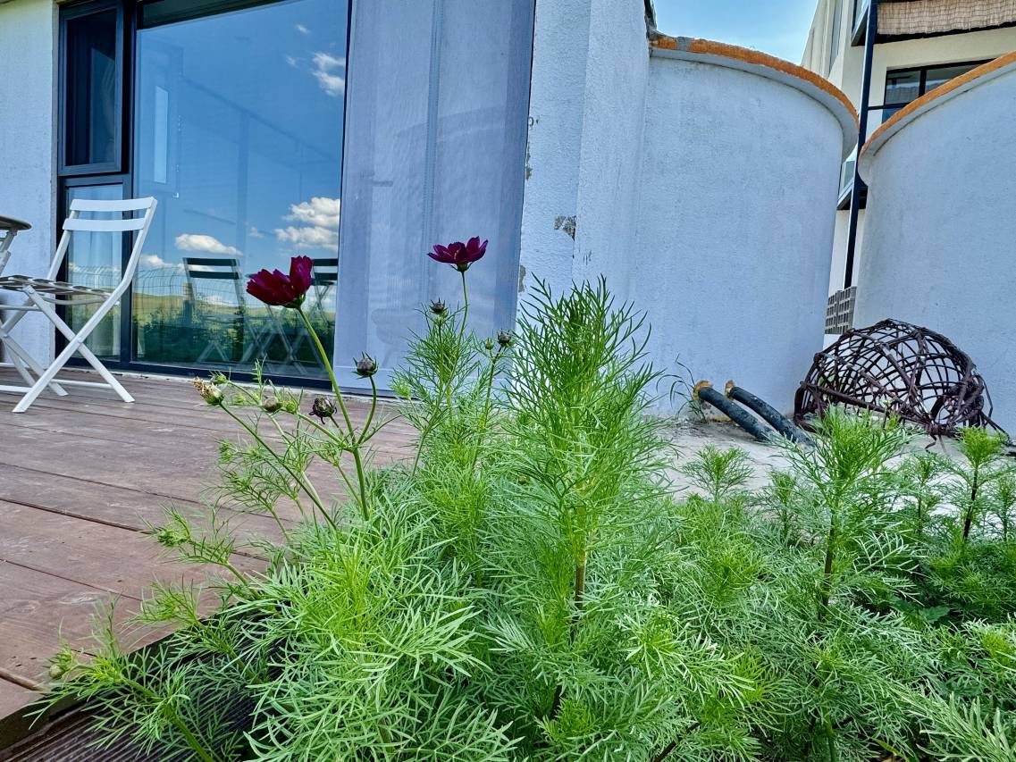 丰宁格桑花·云畔Retreat全景美宿(大滩镇店)图片