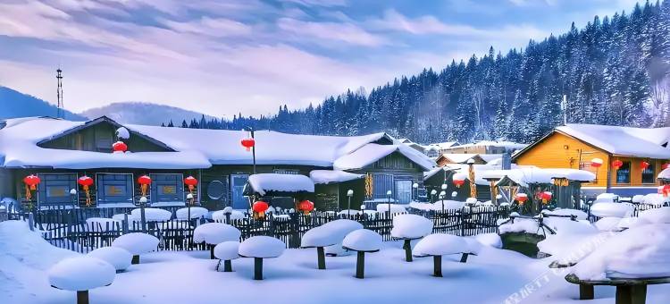 异乡情院｜东北Style民宿图片