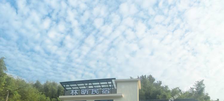 安吉林昕民宿图片