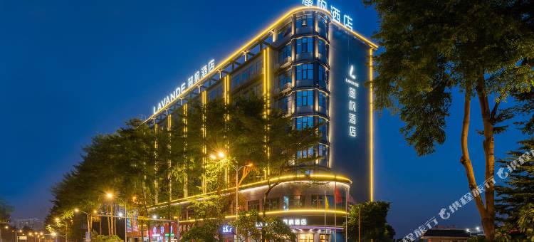 麗枫酒店(东莞大朗松山湖景区店)图片