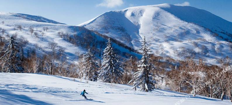 枫叶旅馆(The Maples Niseko)图片
