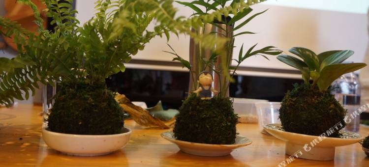 阳明温泉渡假村图片