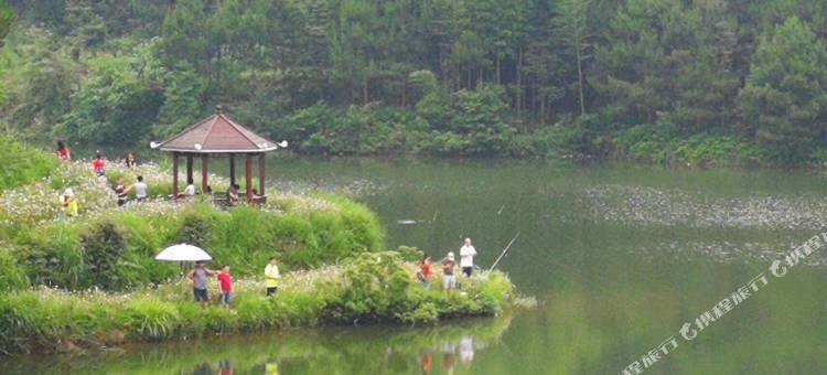 乐昌百臻生态园图片