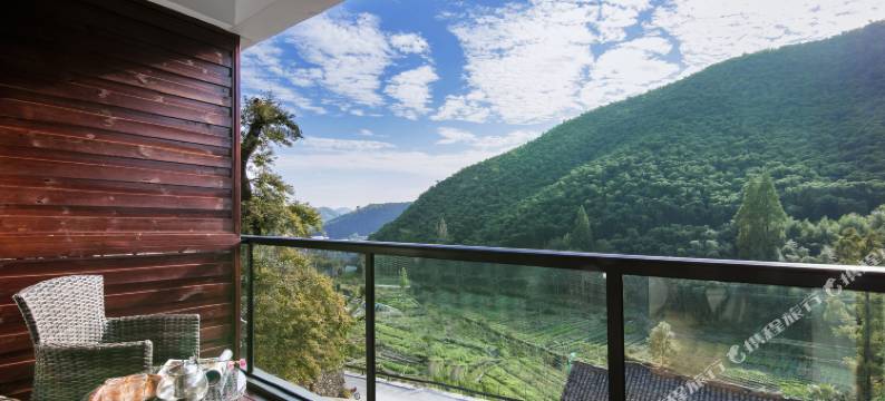 莫干山白云琴舍民宿(后坞村景区店)图片